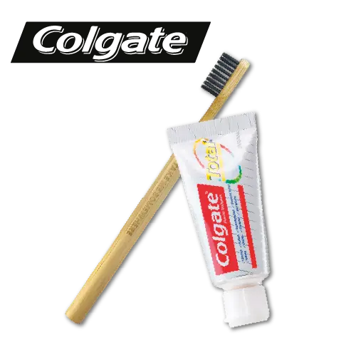 KIT DENTAIRE DE VOYAGE