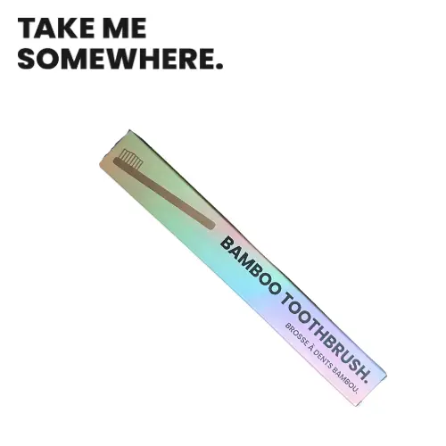 [410V1] BROSSE A DENTS BAMBOU NORMAL 