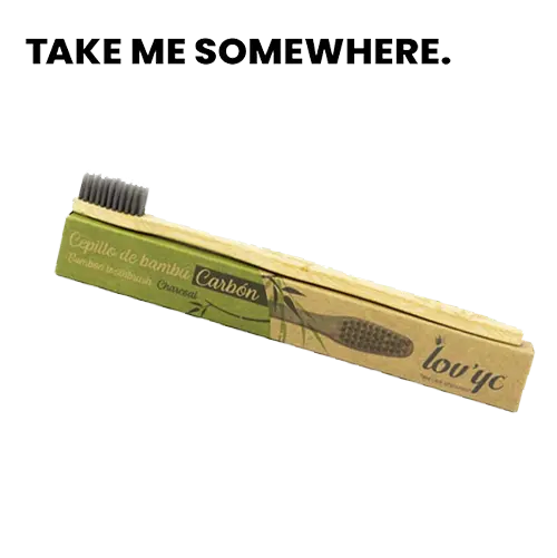 [410V2] BROSSE A DENTS BAMBOU CHARBON TMS