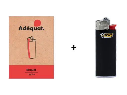 [1200] BRIQUET BIC MINI CONDITIONNE